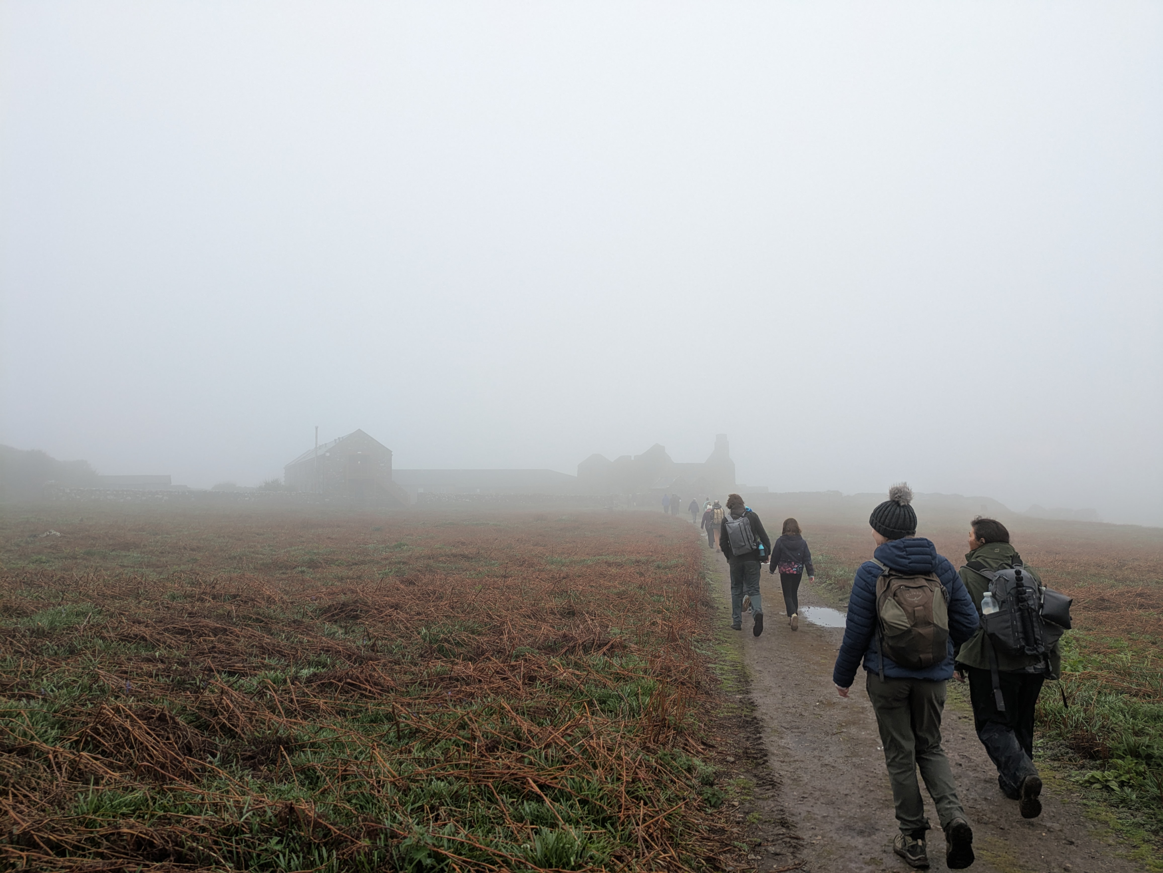 Misty arrival at Skomer