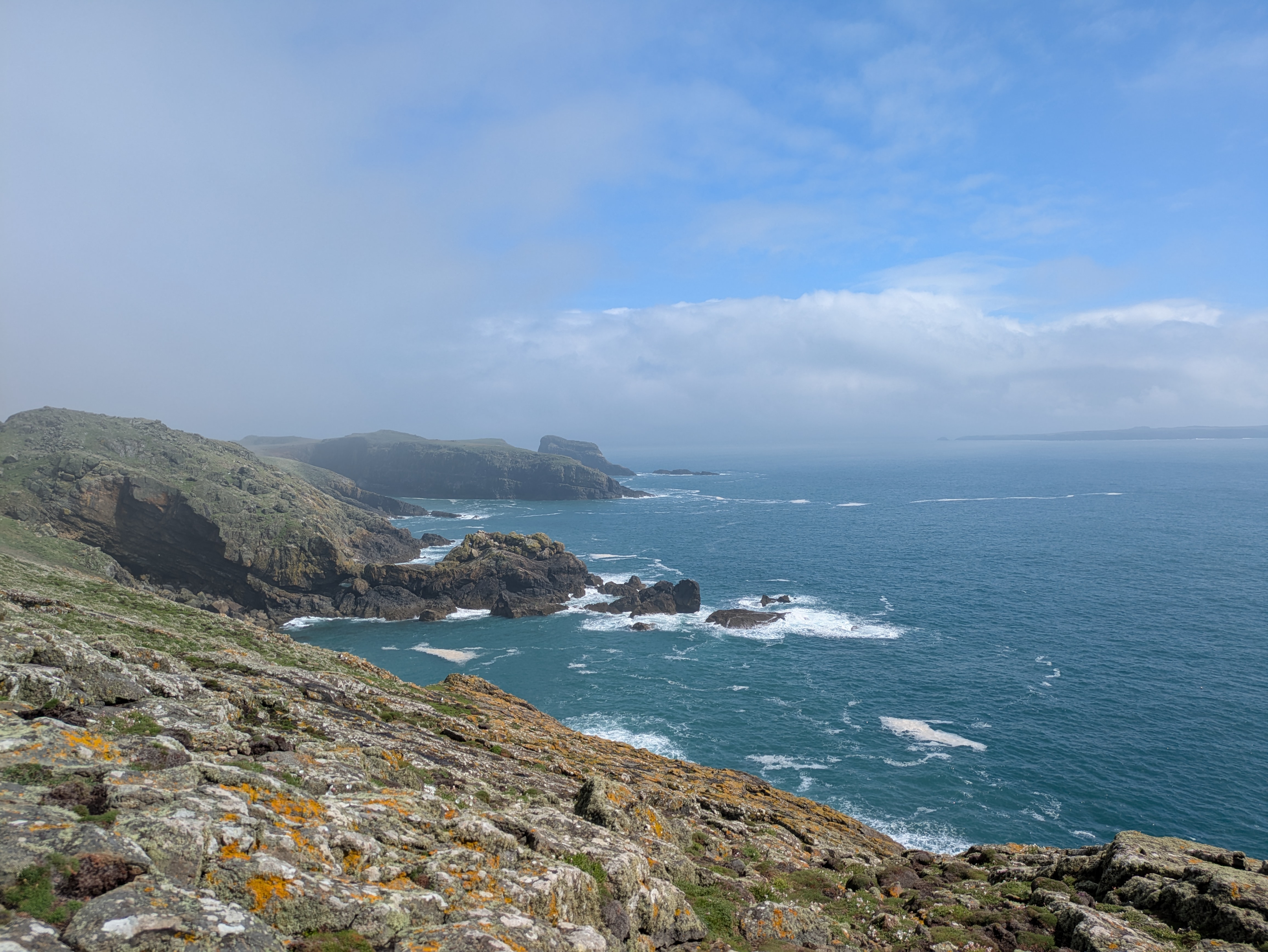 Skomer south coast